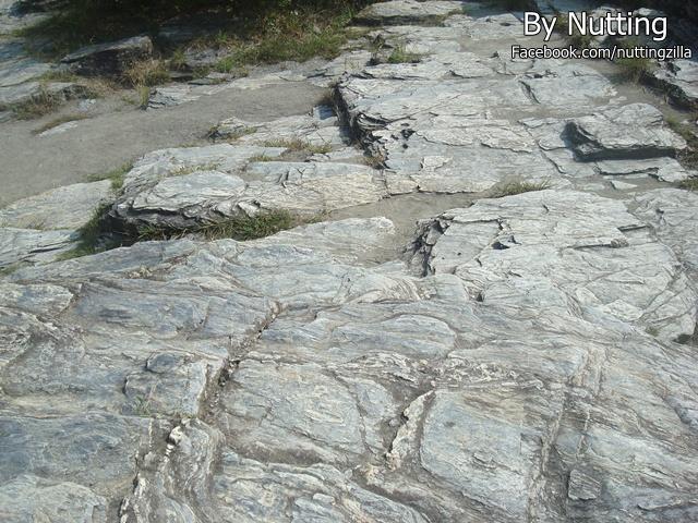 DSC03872.JPG